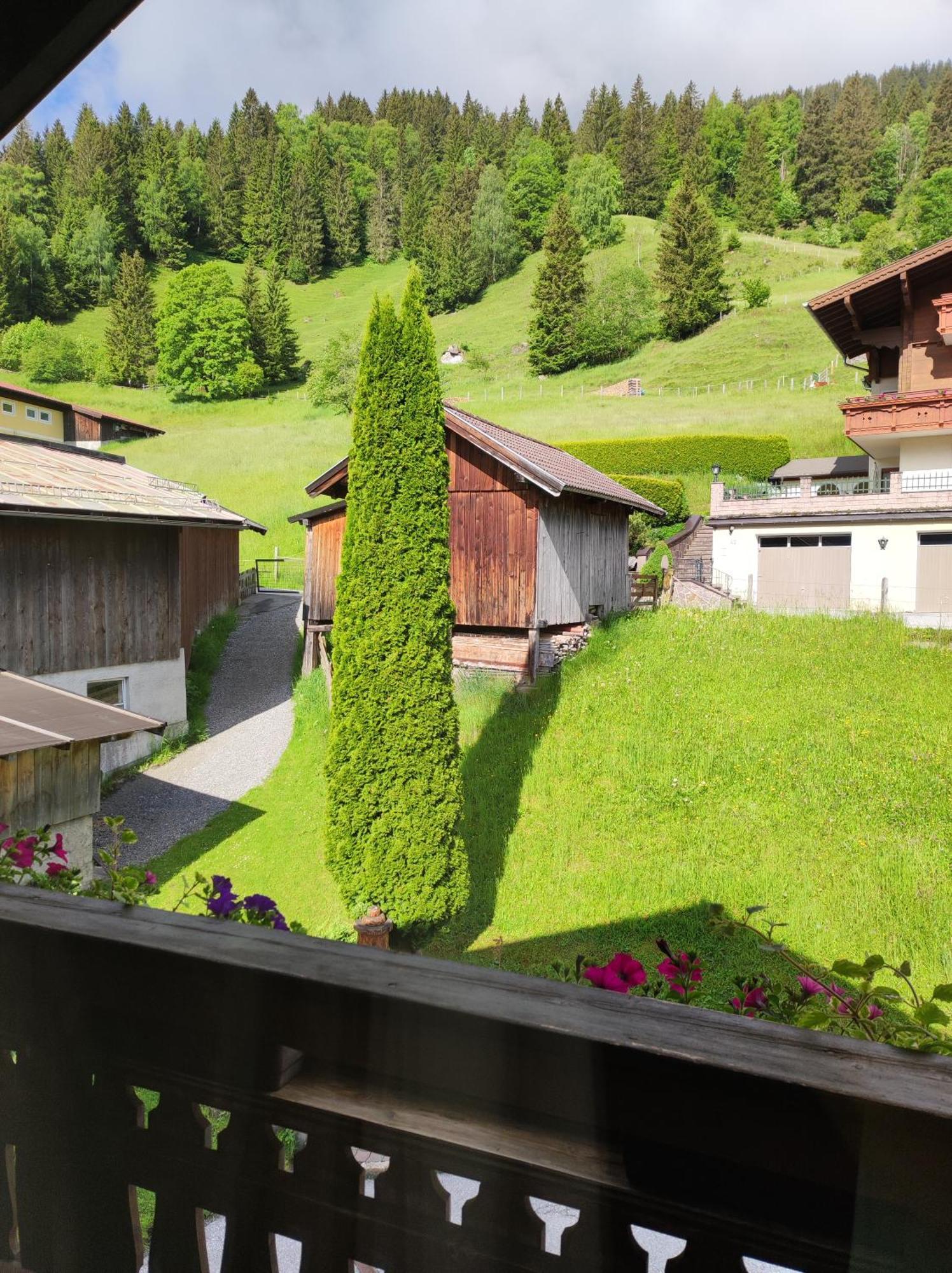 Appartement Haslinggut à Bad Hofgastein Extérieur photo